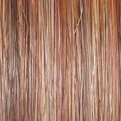 On The Cover Wig by Raquel Welch | Heat Friendly Synthetic (Lace Front Mono)