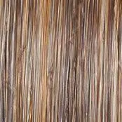 On The Cover Wig by Raquel Welch | Heat Friendly Synthetic (Lace Front Mono)