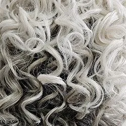 On The Cover Wig by Raquel Welch | Heat Friendly Synthetic (Lace Front Mono)