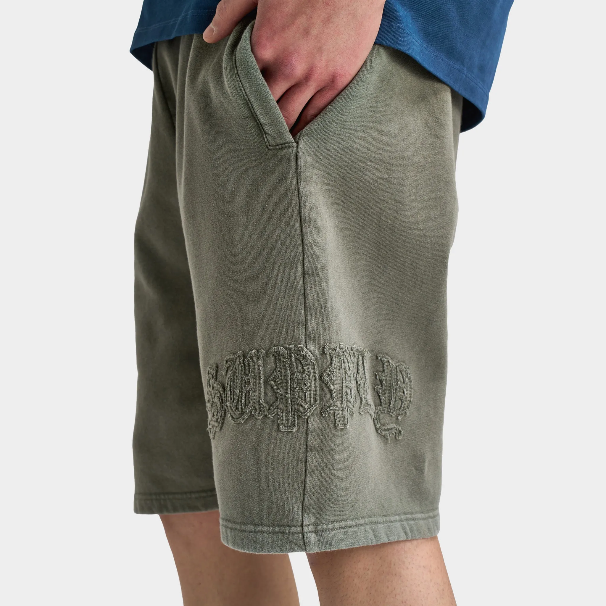 Supply & Demand Aydar Shorts / Washed Ivy Green